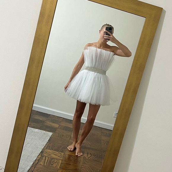 Bronx and Banco NEW Anna Strapless Pleated Tulle Mini Dress - Picture 5 of 14